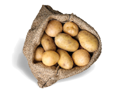 Zemiaky žlté neskoré prané voľné 1 kg