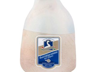 Kačica