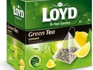 Zelený čaj Loyd
