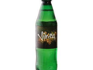 Vinea