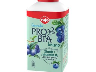 Rajo Probia Jogurt s vitamínmi čučoriedka chlad. 10x135 g