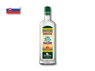 Koniferum Borovička