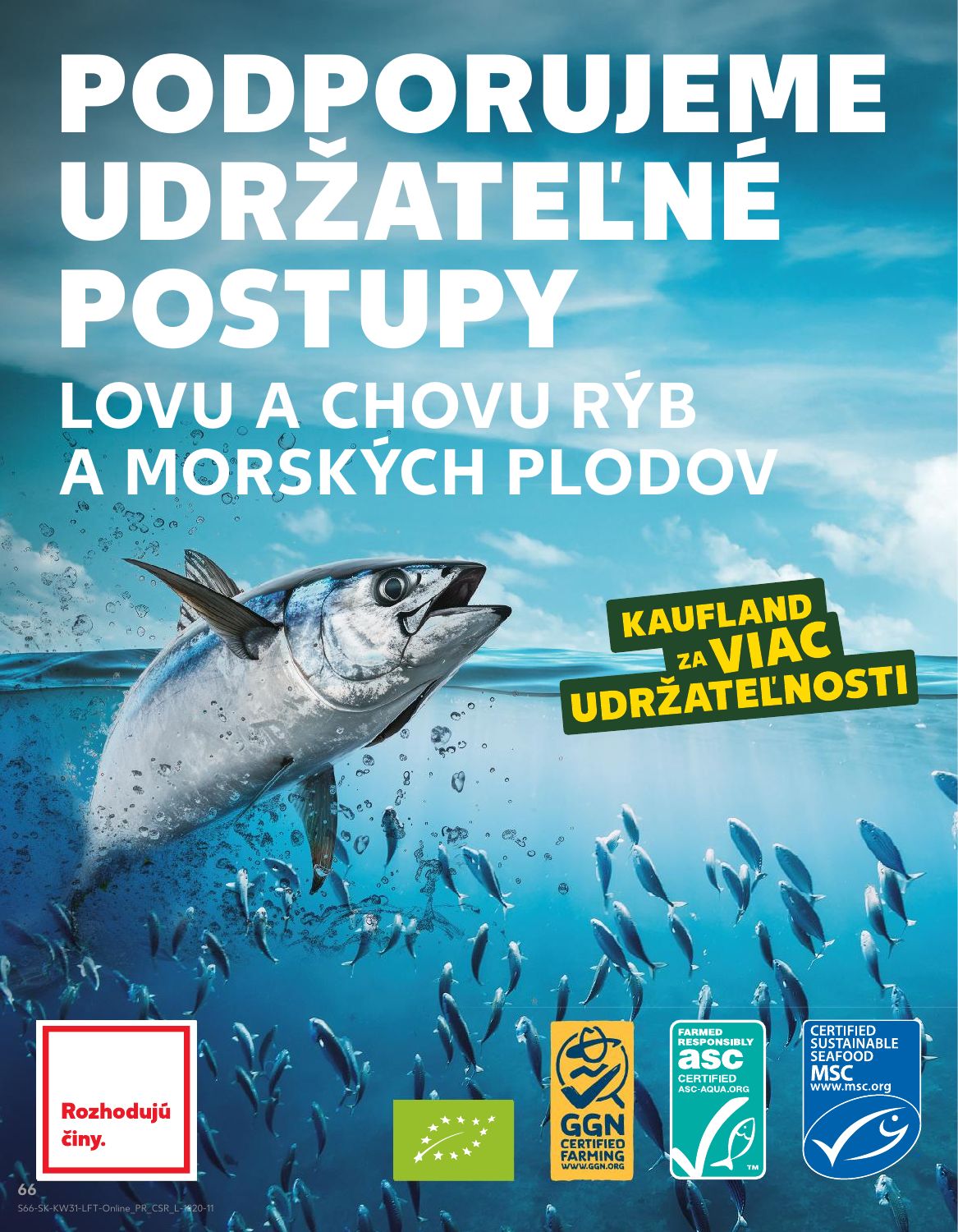 Kaufland