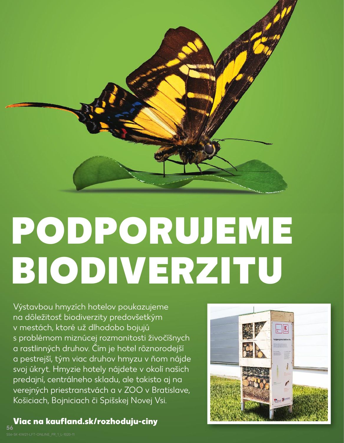 Kaufland