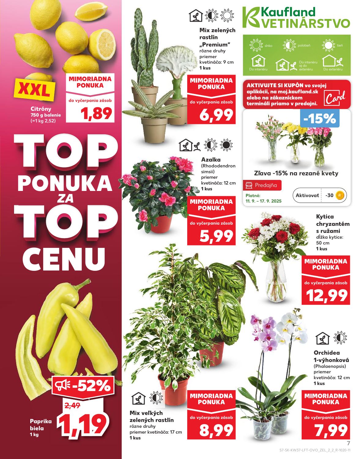 Kaufland